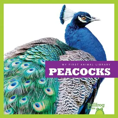 Pfaue - Peacocks