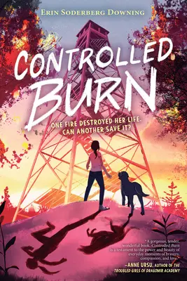 Kontrollierte Verbrennung - Controlled Burn