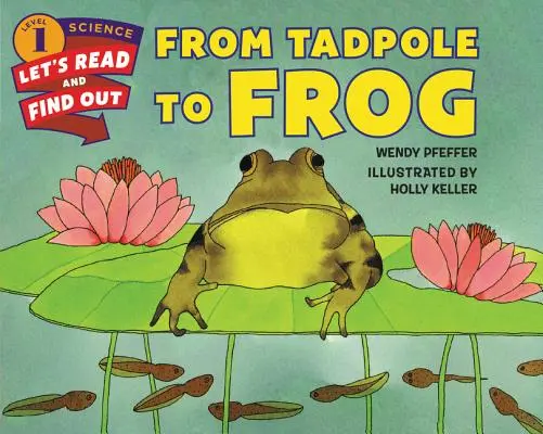 Von der Kaulquappe zum Frosch - From Tadpole to Frog