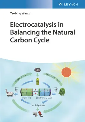 Elektrokatalyse im Gleichgewicht des natürlichen Kohlenstoffkreislaufs - Electrocatalysis in Balancing the Natural Carbon Cycle