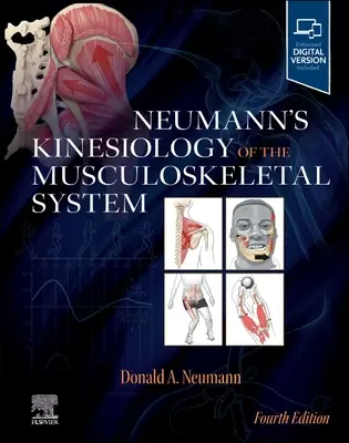 Neumanns Kinesiologie des Muskel-Skelett-Systems - Neumann's Kinesiology of the Musculoskeletal System