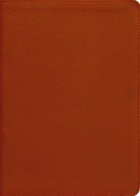 Esv, Thompson Chain-Reference Bibel, Echtes Leder, Kalbsleder, Tan, Red Letter - Esv, Thompson Chain-Reference Bible, Genuine Leather, Calfskin, Tan, Red Letter