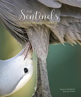 Die Wächter: Die Kraniche Südafrikas - The Sentinels: Cranes of South Africa