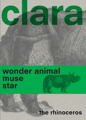 Clara das Nashorn - Clara the Rhinoceros