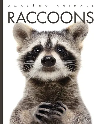 Waschbären - Raccoons