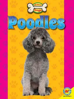 Pudel - Poodles