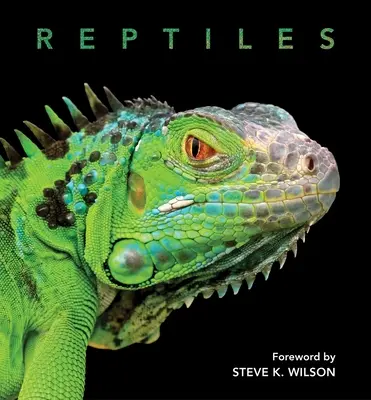Reptilien - Reptiles