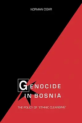 Völkermord in Bosnien: Die Politik der ethnischen Säuberung