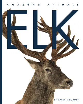 Elch - Elk