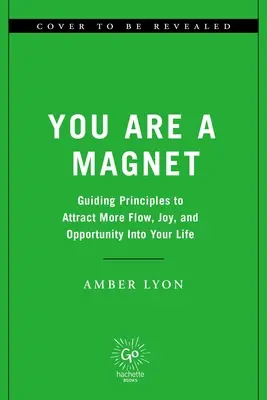 Du bist ein Magnet: Leitprinzipien für ein magnetisches und freudiges Leben - You Are a Magnet: Guiding Principles for a Magnetic and Joyful Life