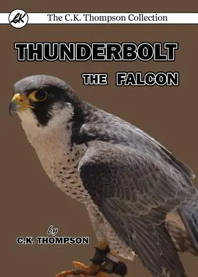 Thunderbolt der Falke - Thunderbolt the Falcon