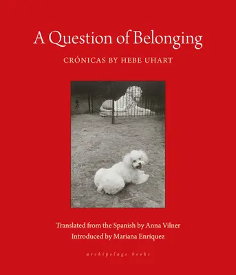 Eine Frage der Zugehörigkeit: Crnicas - A Question of Belonging: Crnicas