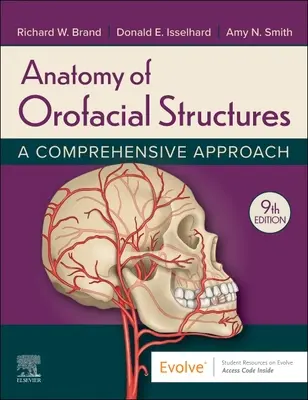 Anatomie der orofazialen Strukturen: Ein umfassender Ansatz - Anatomy of Orofacial Structures: A Comprehensive Approach