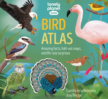 Lonely Planet Vogelatlas für Kinder 1 - Lonely Planet Kids Bird Atlas 1