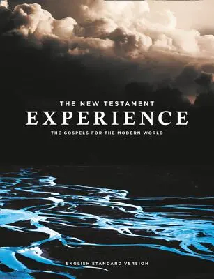 Die Erfahrung des Neuen Testaments: Die Evangelien für die moderne Welt - The New Testament Experience: The Gospels for the Modern World