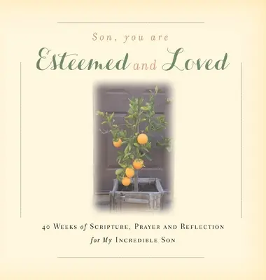 Sohn, du bist geachtet und geliebt: 40 Wochen mit Bibel, Gebet und Reflexion für meinen unglaublichen Sohn - Son, You are Esteemed and Loved: 40 Weeks of Scripture, Prayer and Reflection for My Incredible Son