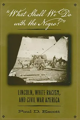 Was sollen wir mit dem Neger tun? Lincoln, der weiße Rassismus und das Amerika des Bürgerkriegs - What Shall We Do with the Negro?: Lincoln, White Racism, and Civil War America