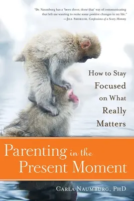 Elternschaft im gegenwärtigen Moment: Wie man sich auf das konzentriert, was wirklich wichtig ist - Parenting in the Present Moment: How to Stay Focused on What Really Matters