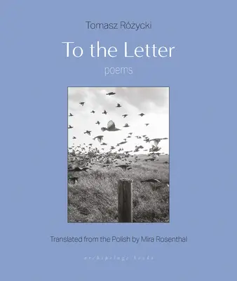 Auf den Punkt gebracht: Gedichte - To the Letter: Poems