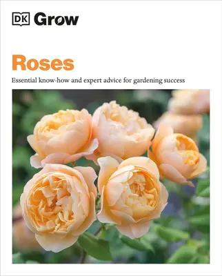 Rosen anbauen: Unverzichtbares Know-how und Expertentipps für eine erfolgreiche Gartenarbeit - Grow Roses: Essential Know-How and Expert Advice for Gardening Success