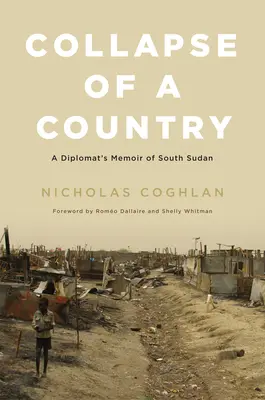 Der Zusammenbruch eines Landes: Die Memoiren eines Diplomaten über den Südsudan - Collapse of a Country: A Diplomat's Memoir of South Sudan
