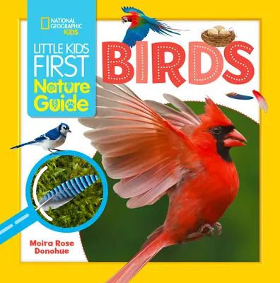 Little Kids First Nature Guide Vögel - Little Kids First Nature Guide Birds