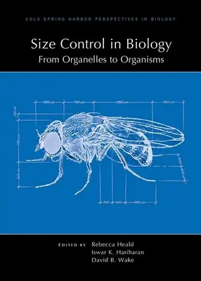 Größenkontrolle in der Biologie: Von Organellen zu Organismen - Size Control in Biology: From Organelles to Organisms