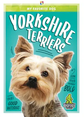 Yorkshire-Terrier - Yorkshire Terriers