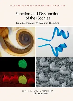 Funktion und Dysfunktion der Cochlea: Von Mechanismen zu möglichen Therapien - Function and Dysfunction of the Cochlea: From Mechanisms to Potential Therapies