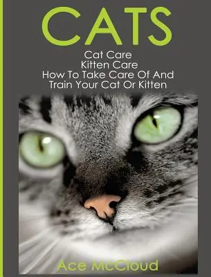 Katzen: Katzenpflege: Kätzchenpflege: Wie Sie Ihre Katze oder Ihr Kätzchen pflegen und erziehen - Cats: Cat Care: Kitten Care: How To Take Care Of And Train Your Cat Or Kitten