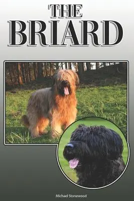 Der Briard: Ein kompletter und umfassender Leitfaden für Besitzer: Kauf, Besitz, Gesundheit, Pflege, Training, Gehorsam, Verstehen und - The Briard: A Complete and Comprehensive Owners Guide To: Buying, Owning, Health, Grooming, Training, Obedience, Understanding and