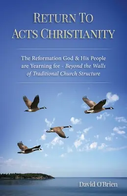 Rückkehr zum Christentum der Apostelgeschichte: Die Reformation, nach der Gott und sein Volk sich sehnen - jenseits der Mauern der traditionellen Kirchenstruktur - Return To Acts Christianity: The Reformation God & His People are Yearning for - Beyond the Walls of Traditional Church Structure