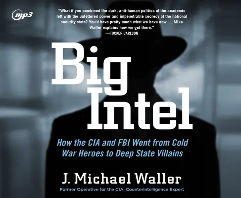 Big Intel: Wie die CIA von Helden des Kalten Krieges zu Schurken des Tiefen Staates wurde - Big Intel: How the CIA Went from Cold War Heroes to Deep State Villains