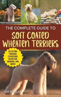 Der komplette Leitfaden für Soft Coated Wheaten Terrier: Finden, Vorbereiten, Aufziehen, Trainieren, Füttern, Sozialisieren und Liebhaben Ihres neuen Wheaten Terriers - The Complete Guide to Soft Coated Wheaten Terriers: Finding, Preparing for, Raising, Training, Feeding, Socializing, and Loving Your New Wheaten Terri