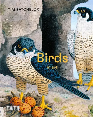 Vögel - Birds