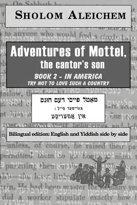 In Amerika - In America