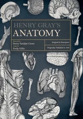 Henry Gray's Anatomie: Chirurgisch und beschreibend - Henry Gray's Anatomy: Surgical and Descriptive