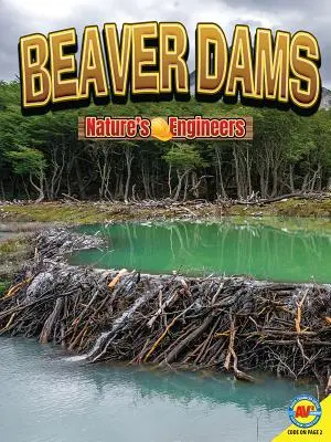 Biberdämme - Beaver Dams