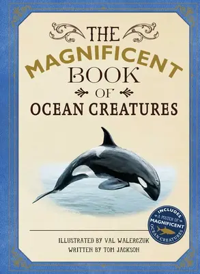 Das prächtige Buch der Meereskreaturen - The Magnificent Book of Ocean Creatures