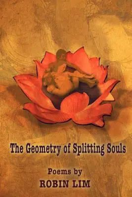 Die Geometrie der Seelenspaltung - The Geometry of Splitting Souls