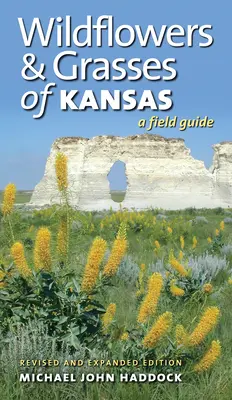 Wildblumen und Gräser von Kansas: Ein Feldführer, überarbeitete und erweiterte Ausgabe - Wildflowers and Grasses of Kansas: A Field Guide, Revised and Expanded Edition