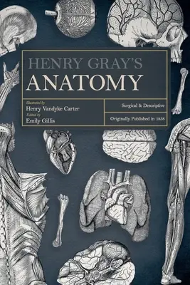 Henry Gray's Anatomie: Chirurgisch und beschreibend - Henry Gray's Anatomy: Surgical and Descriptive