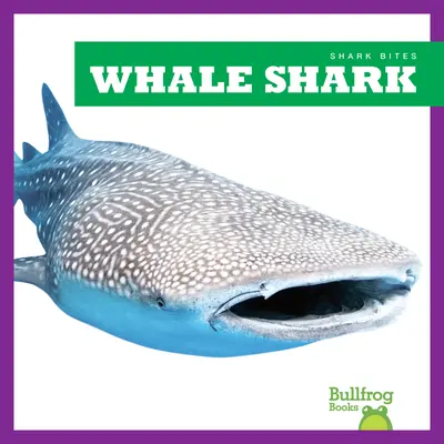 Walhai - Whale Shark