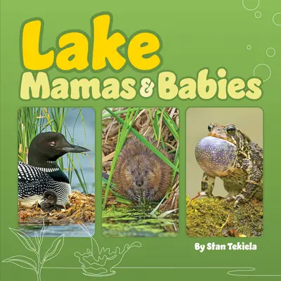 See Mamas & Babies - Lake Mamas & Babies