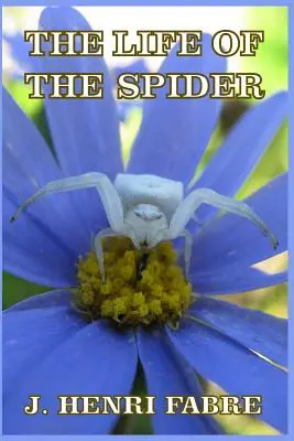 Das Leben der Spinne - The Life of the Spider