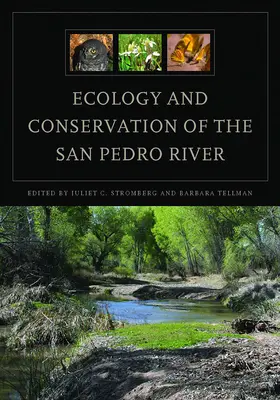 Ökologie und Schutz des San Pedro Flusses - Ecology and Conservation of the San Pedro River