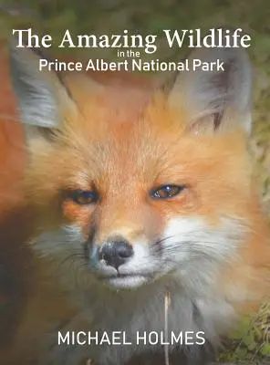 Die erstaunliche Tierwelt im Prince Albert National Park - The Amazing Wildlife in the Prince Albert National Park
